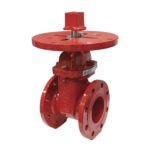 Read more about the article NRS Yükselmeyen Milli Vana