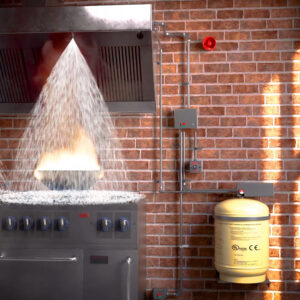 Read more about the article Ads-X Kitchen Hood Extinguishing Systems